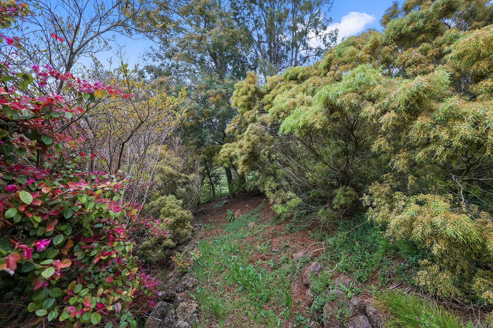 Additional image 29 of 105 Hopetoun Road, Drouin VIC 3818