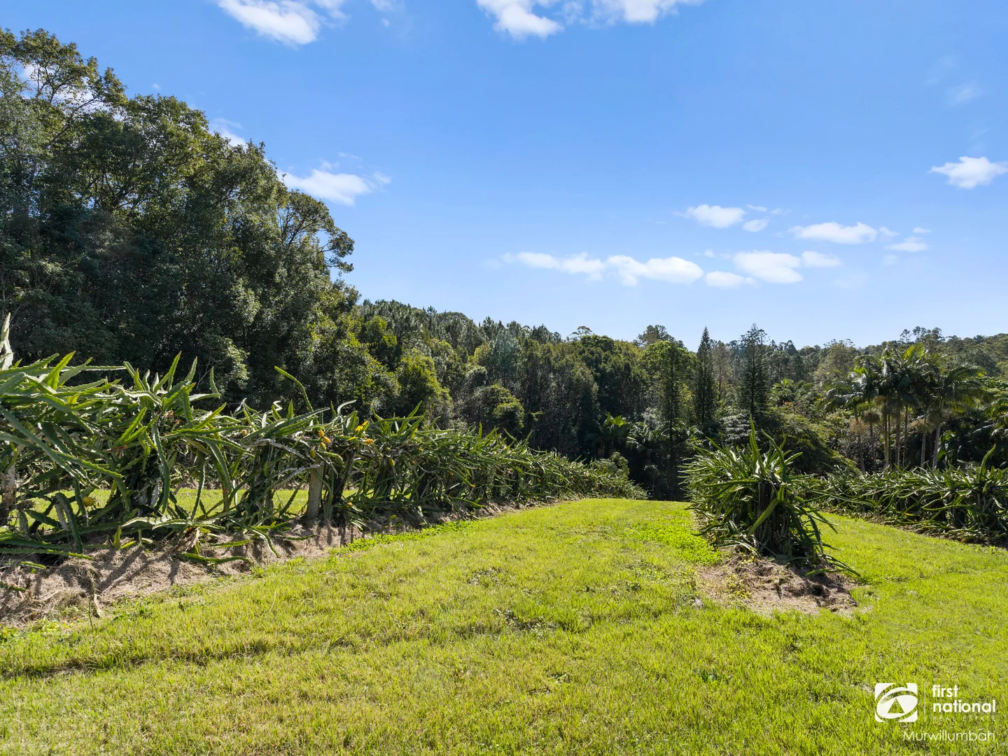 Additional image 25 of 7083 Tweed Valley Way, Dunbible NSW 2484