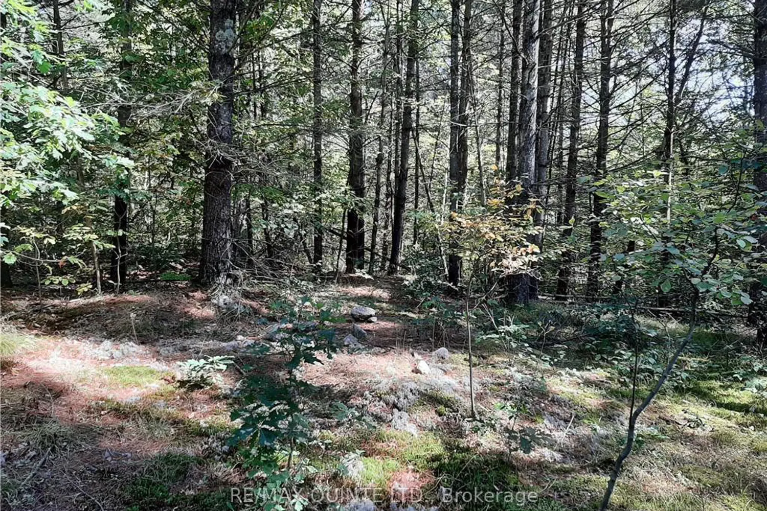 Additional image 7 of 0 Pt Lt12 Con14 Hwy 37 Road