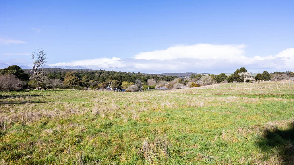 Additional image 7 of Lot 12/17 Adair Street, Linton VIC 3360