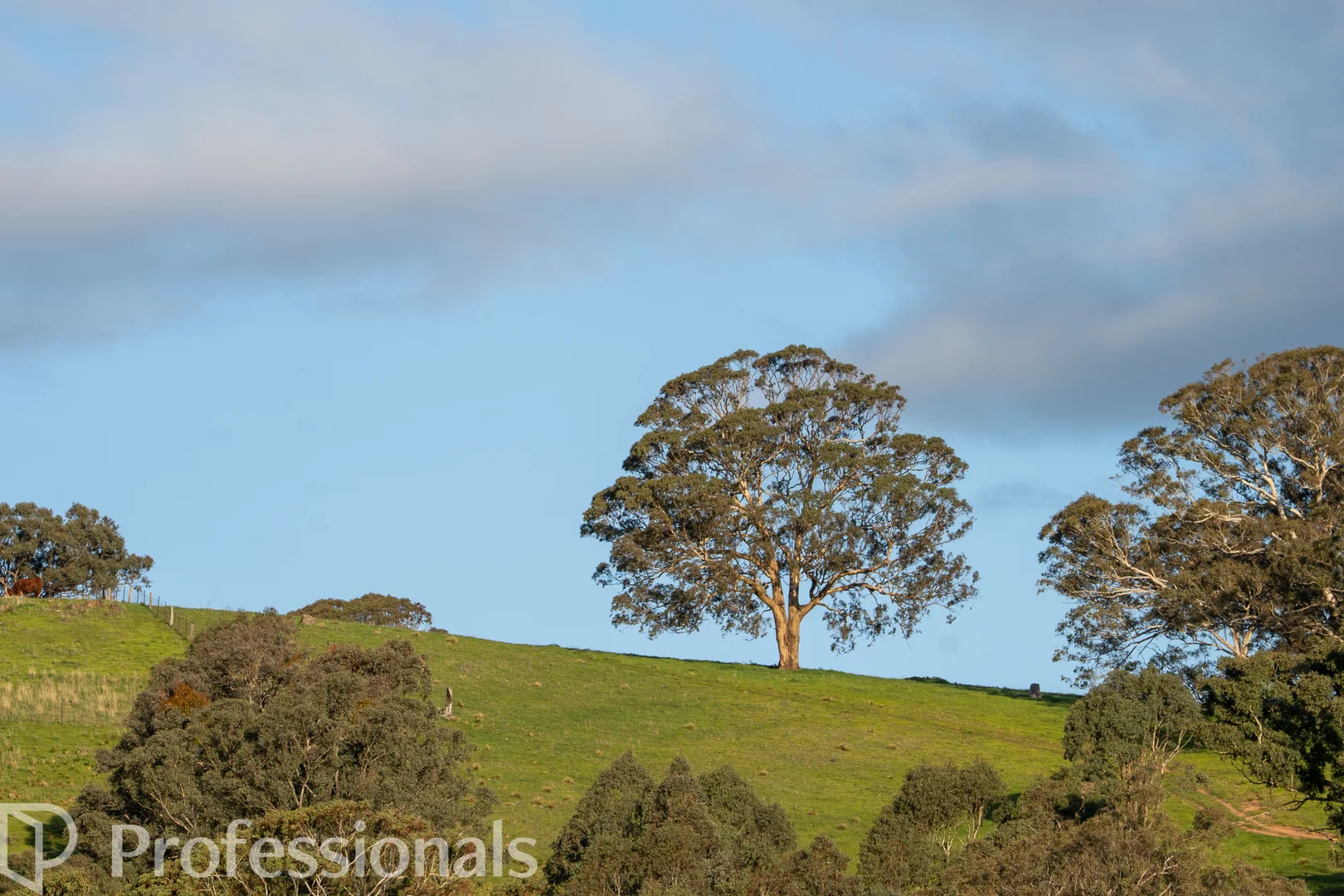 Additional image 50 of 361 Dicksons Lane, Orange NSW 2800