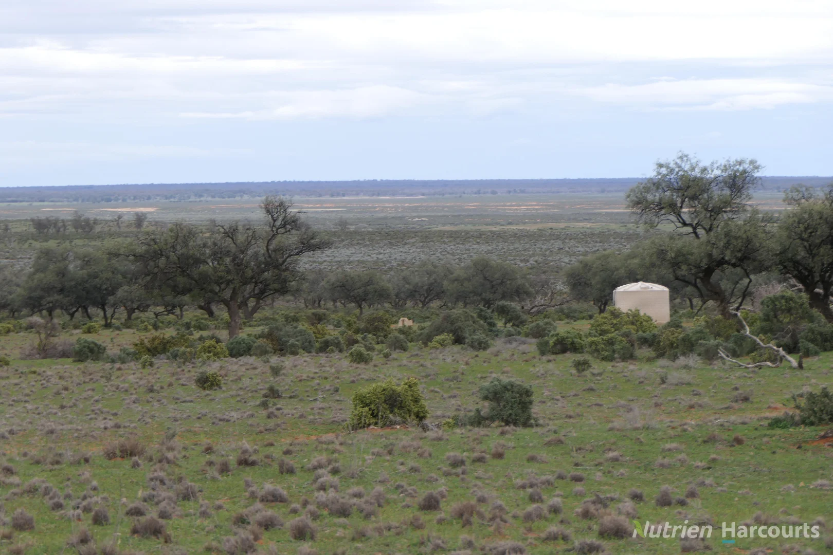Additional image 30 of * Magenta Aggregation, Balranald NSW 2715