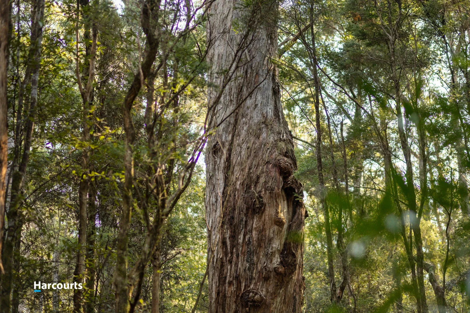 Additional image 31 of 170 Cockle Creek Road, Recherche TAS 7109