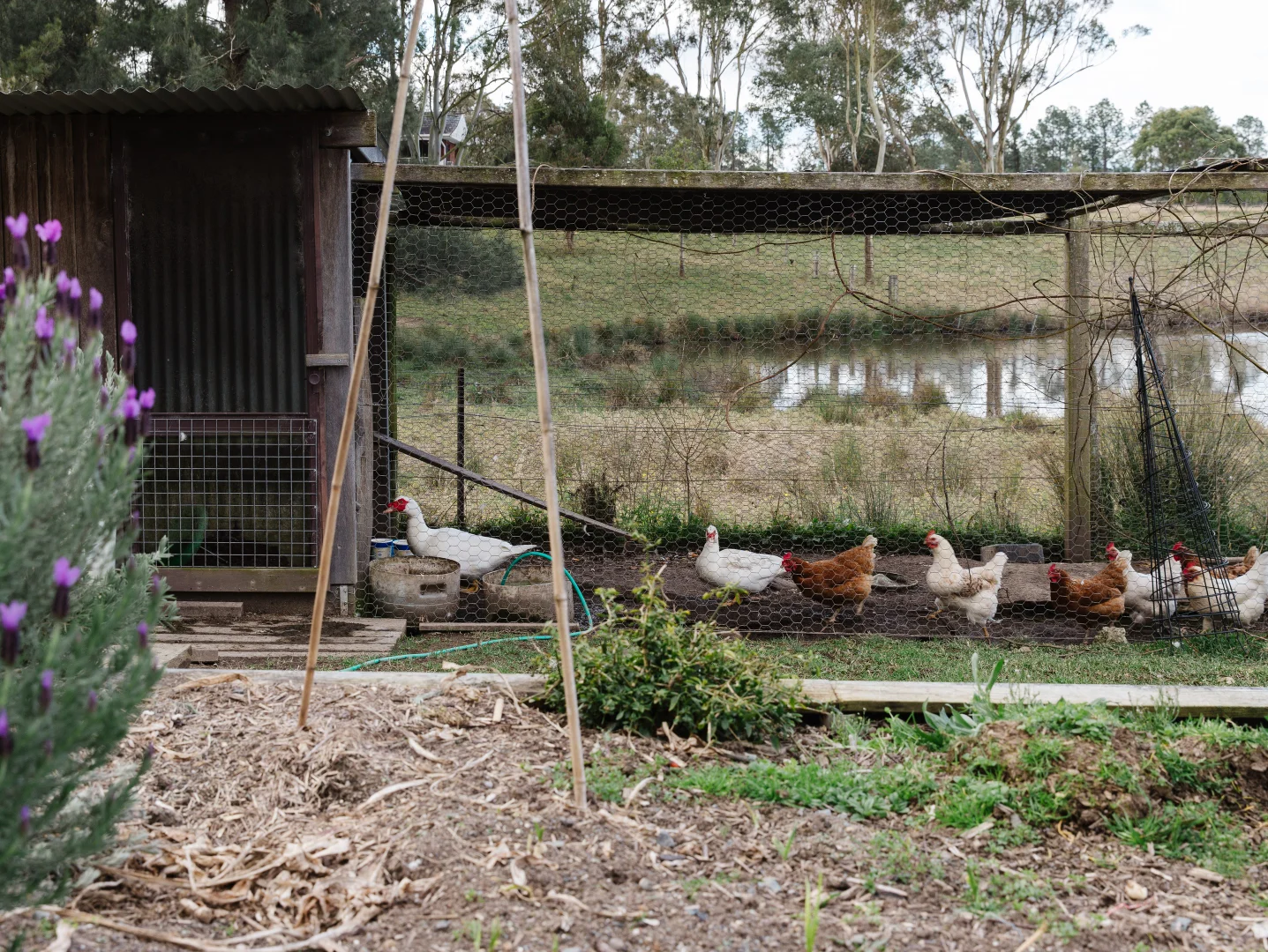 Additional image 19 of 4452 The Bucketts Way, Gloucester NSW 2422