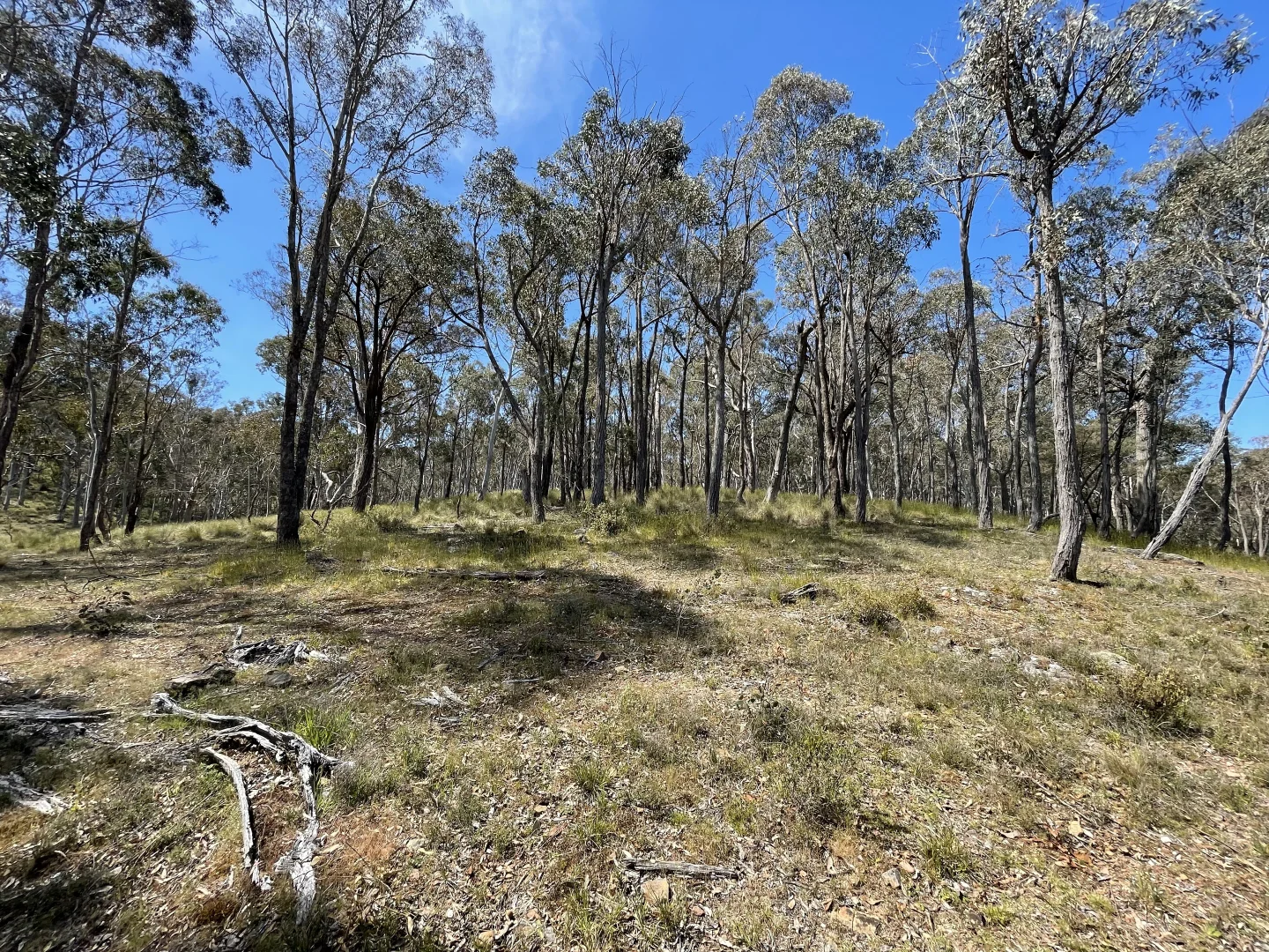 Additional image 16 of 925 Marked Tree Road, Gundaroo NSW 2620