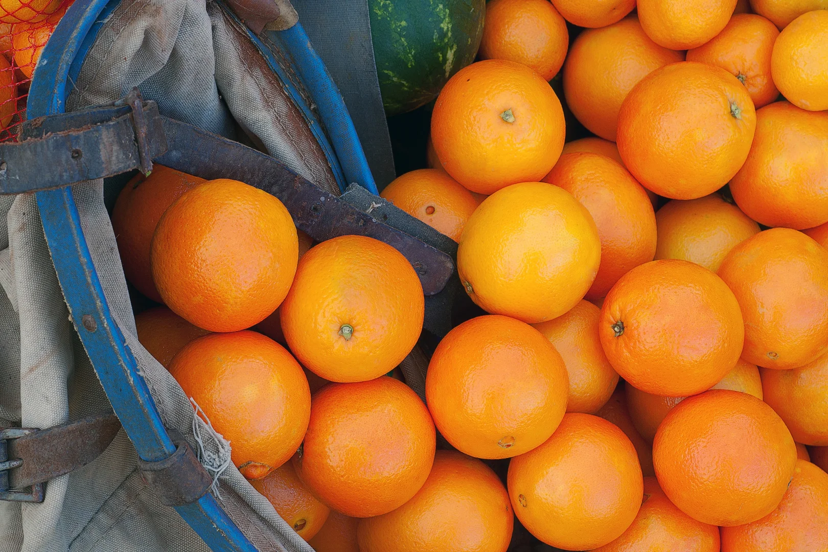 Additional image 6 of 183 Quast Road, Loxton SA 5333