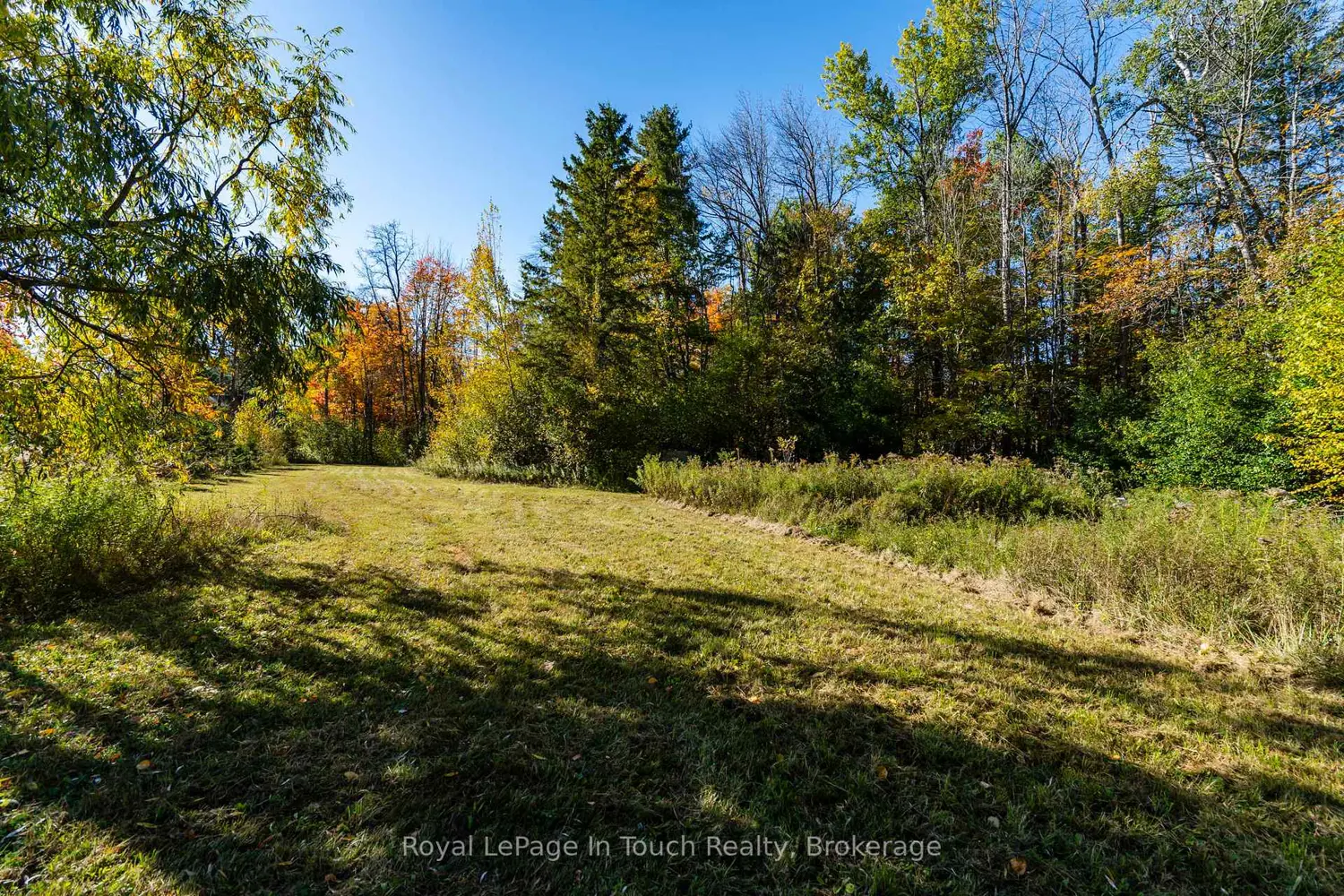 Additional image 7 of 250 Peek-A-Boo Trail