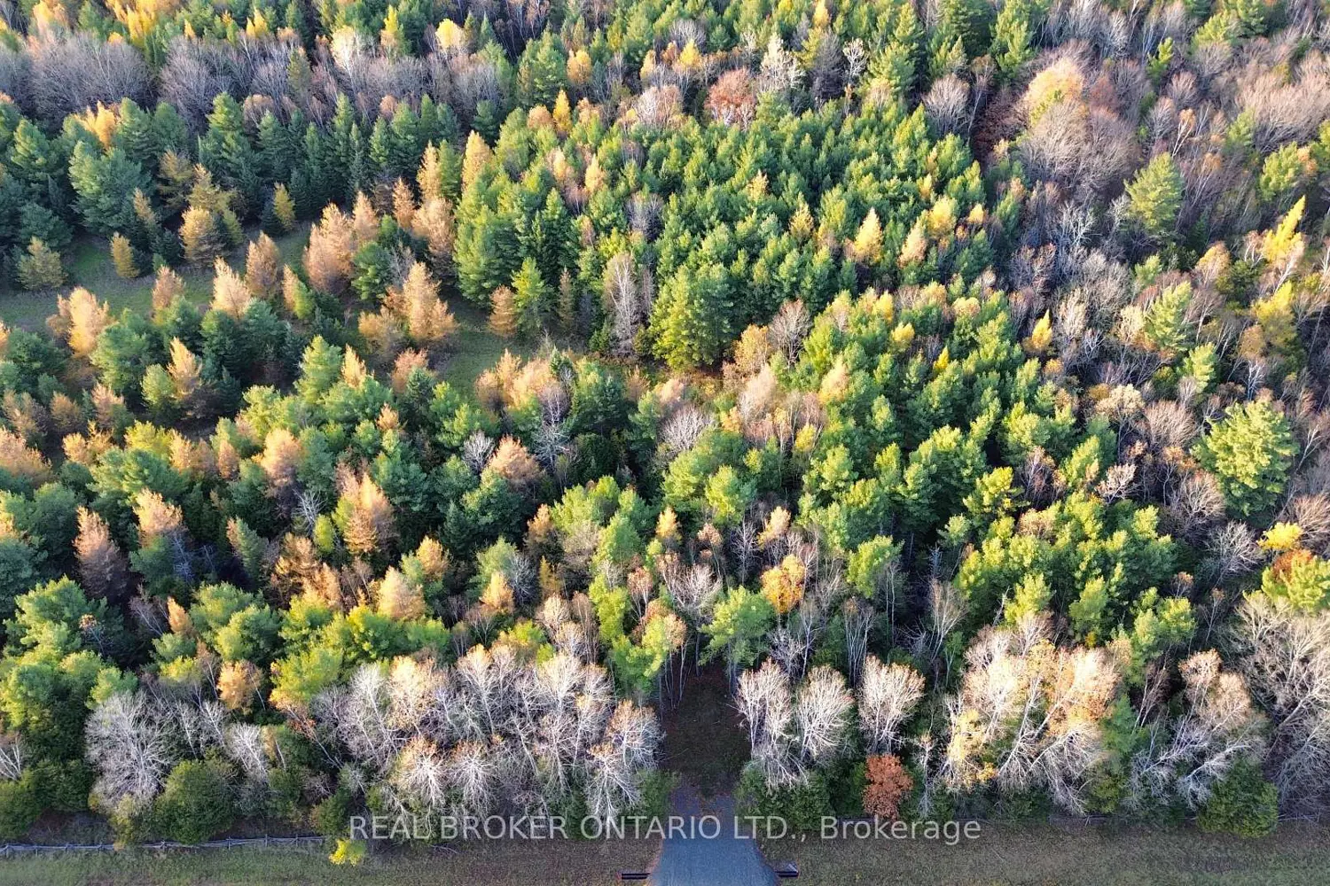 Additional image 10 of Lot 3 Watsons Corners Road