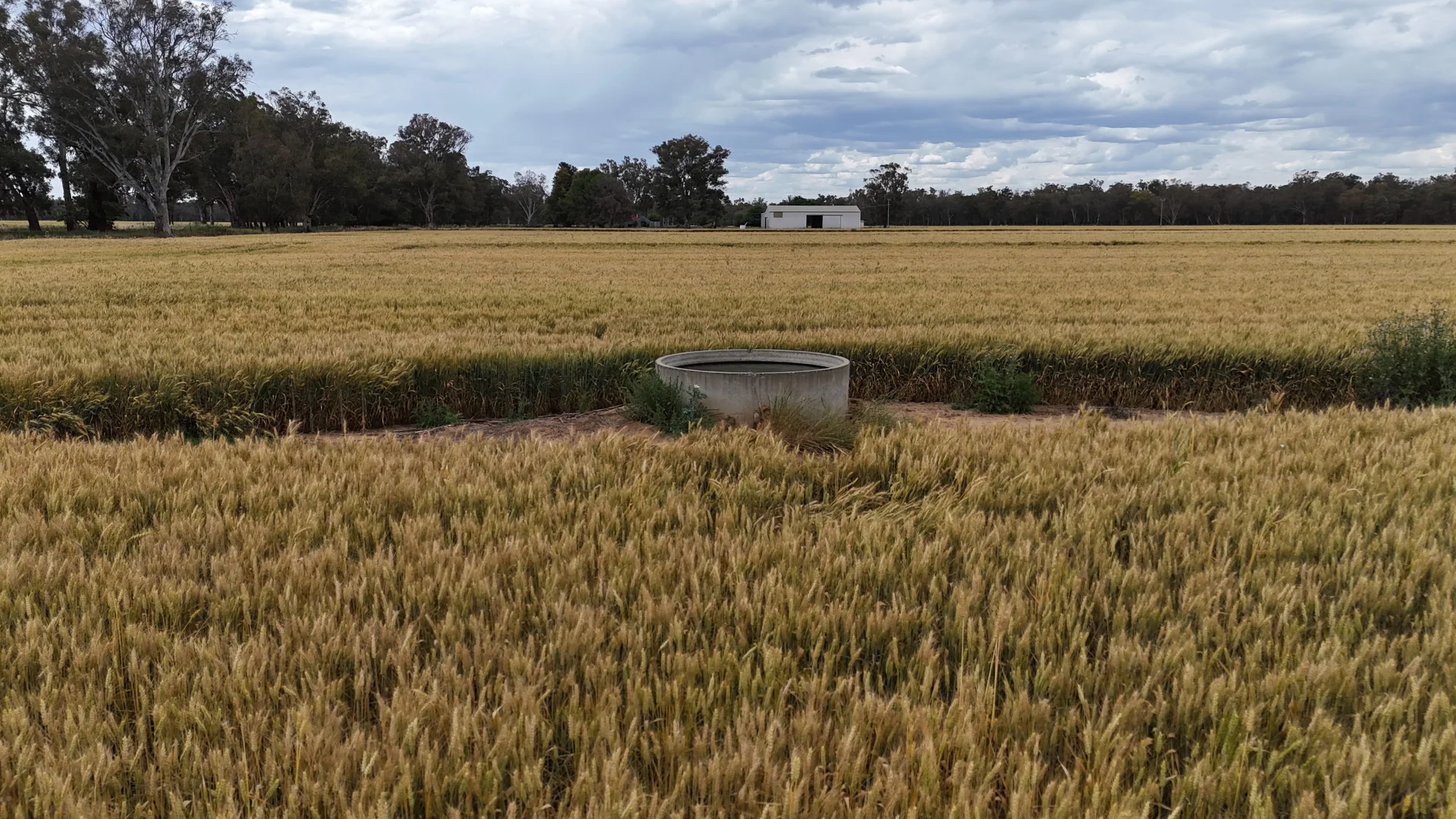 Additional image 9 of 69 Ercildoune Lane South, Forbes NSW 2871