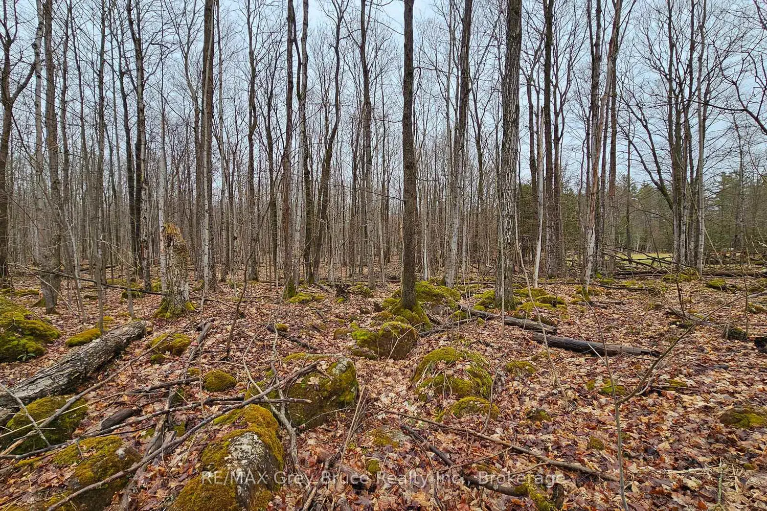 Additional image 15 of Pt Lt 1 Concession Rd 21 Road