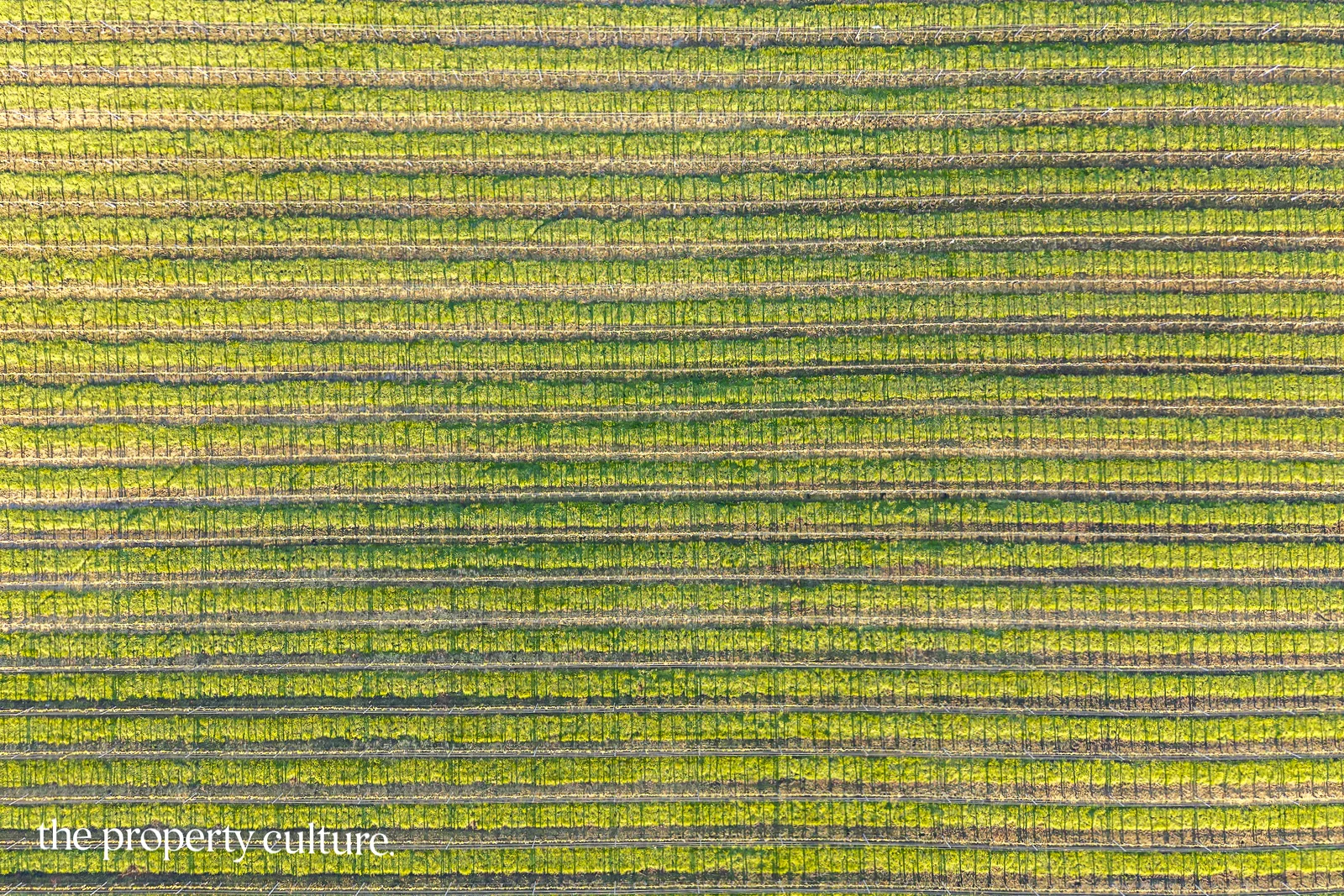 Additional image 33 of 42 Voss Rd, Glaziers Bay TAS 7109