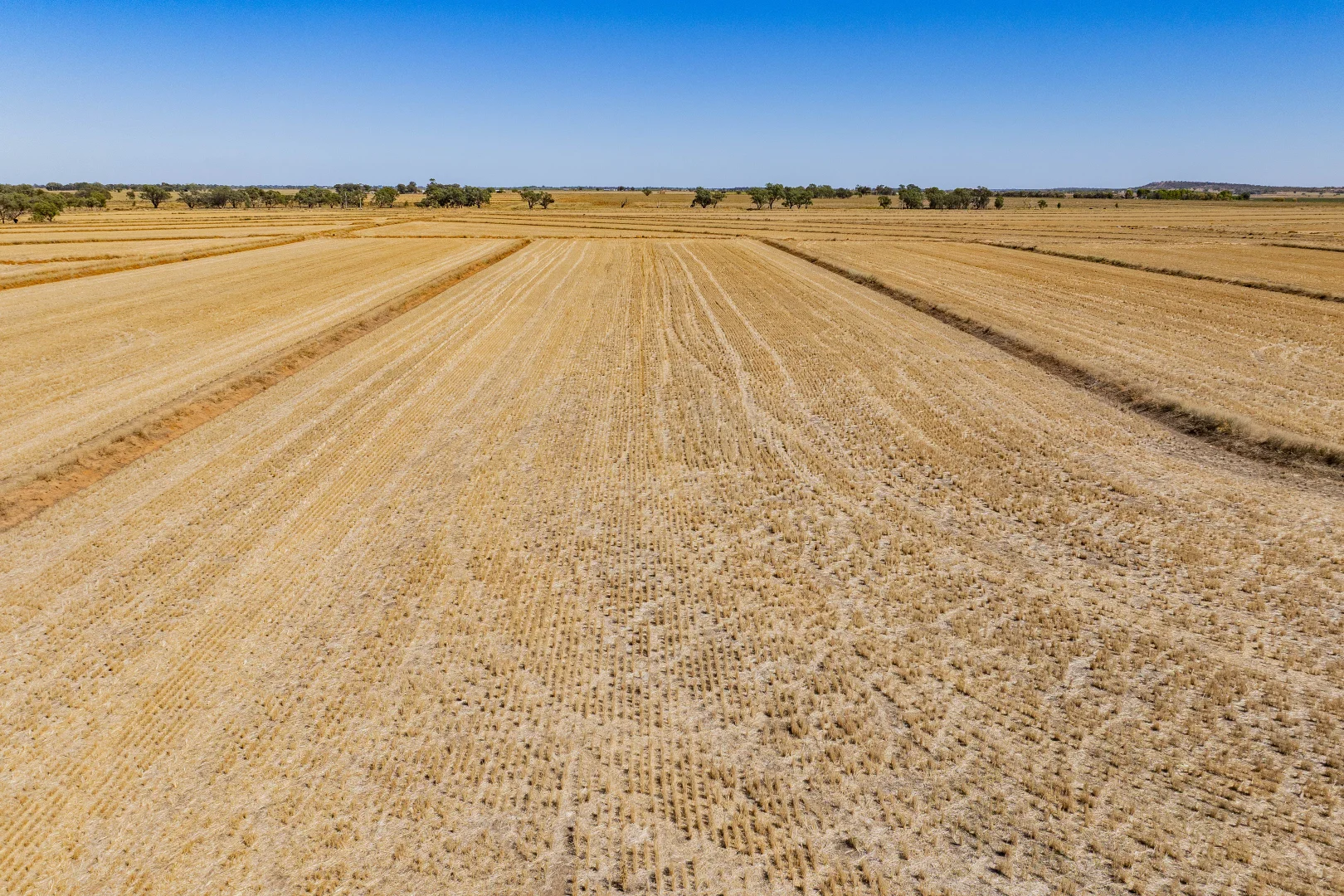 Additional image 4 of 102 Murrami Road, Murrami NSW 2705