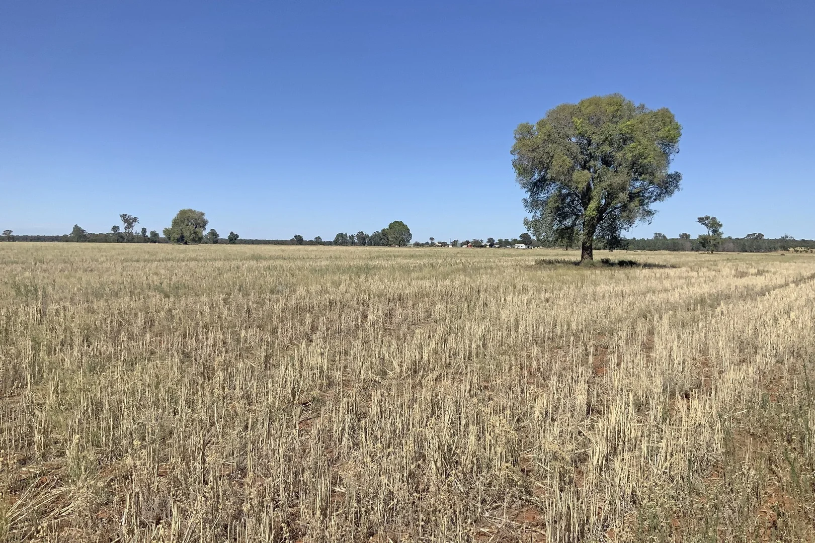 Additional image 9 of 703 Yethera Road, Tullamore NSW 2874