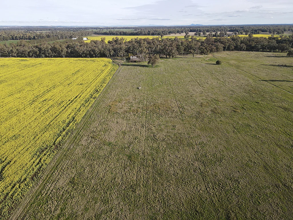 Additional image 4 of Part "Lima" 11025 The Escort Way, Forbes NSW 2871