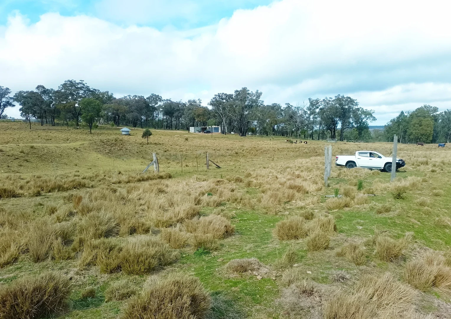 Additional image 3 of 22 Cainbill Road, Coolah NSW 2843