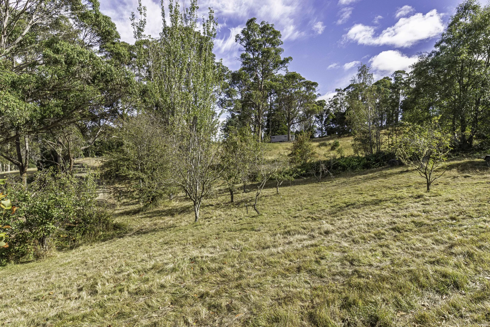 Additional image 29 of 242 Woolleys Road, Lonnavale TAS 7109