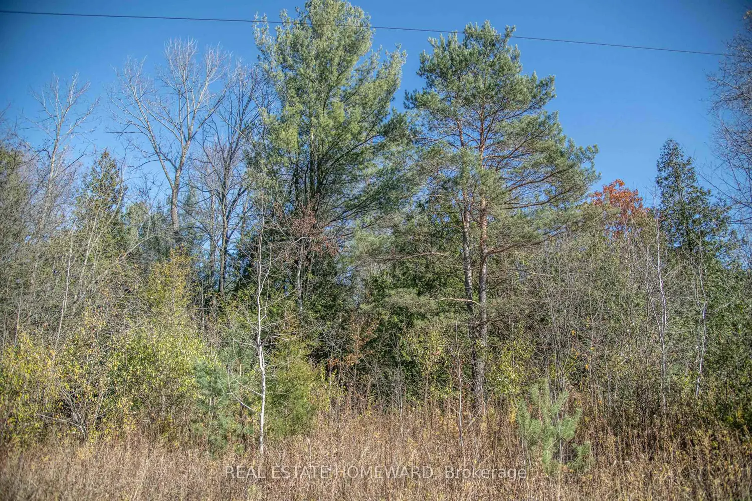 Additional image 13 of 7257 Soper Road