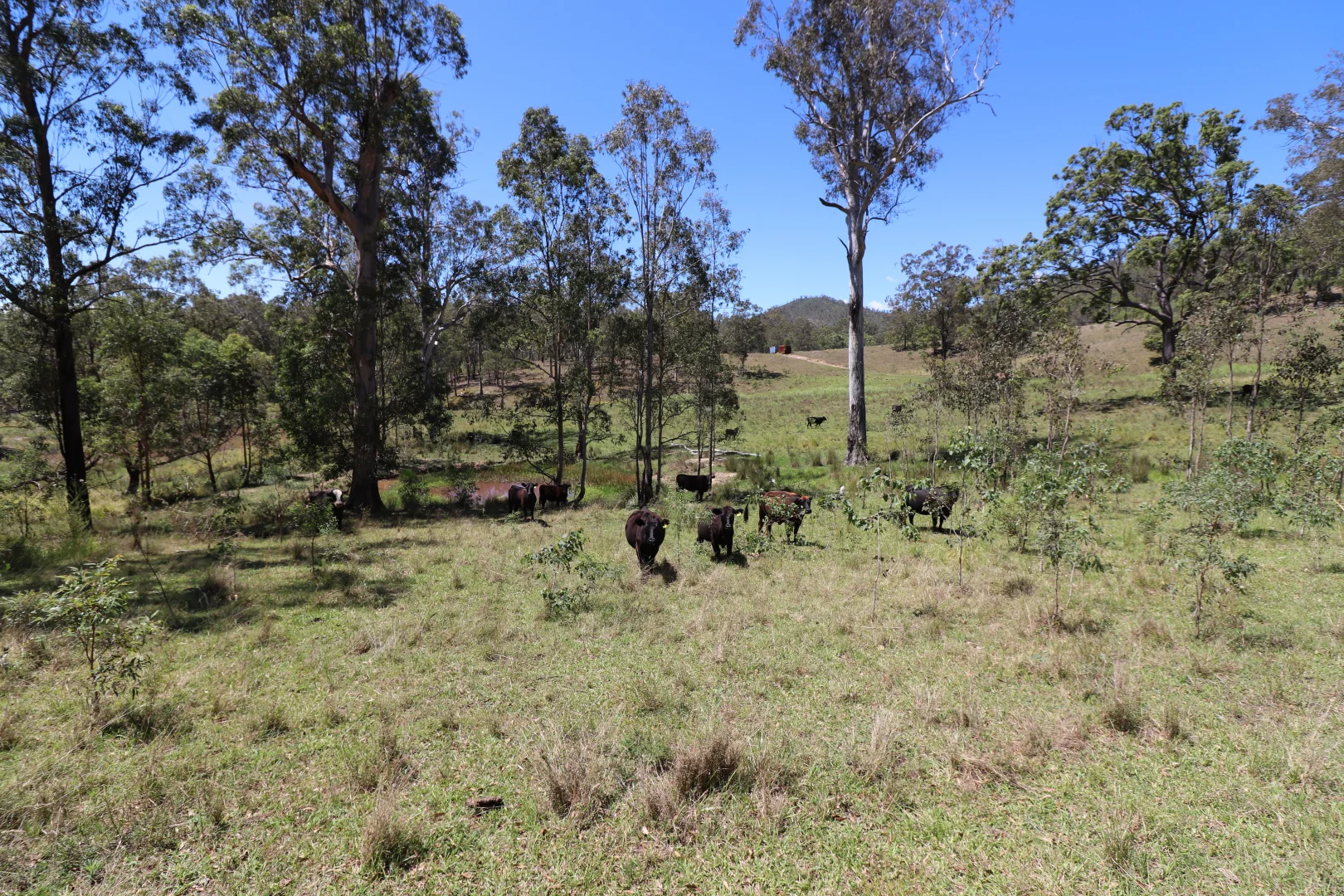 Additional image 14 of 857 Warbro Brook Rd, Toorooka NSW 2440