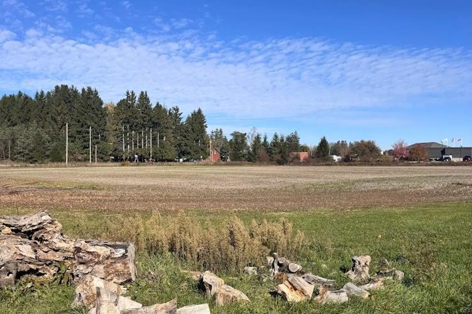 Additional image 13 of 211 Queen Street