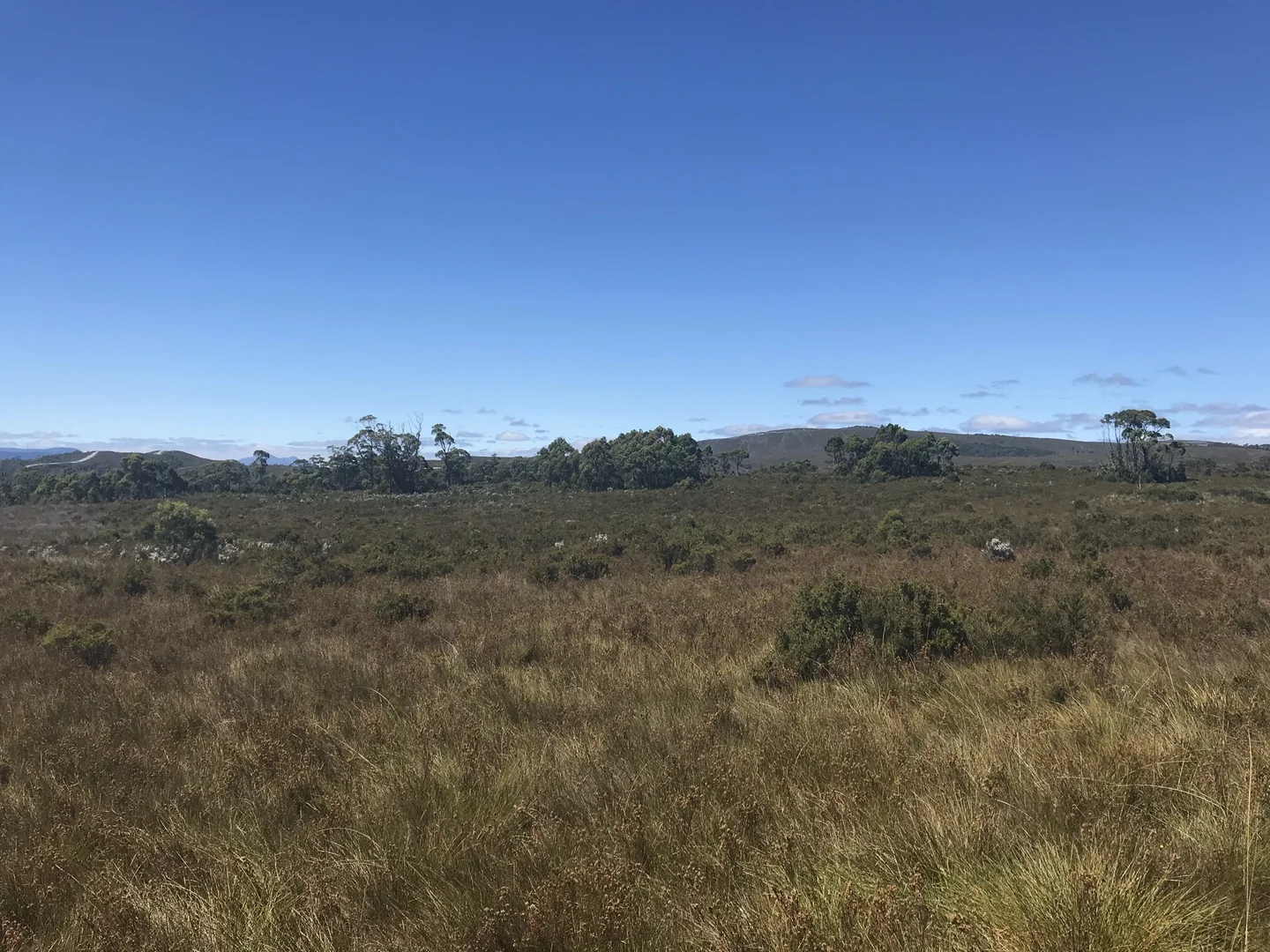 Additional image 2 of 499 Heemskirk Road, Zeehan TAS 7469