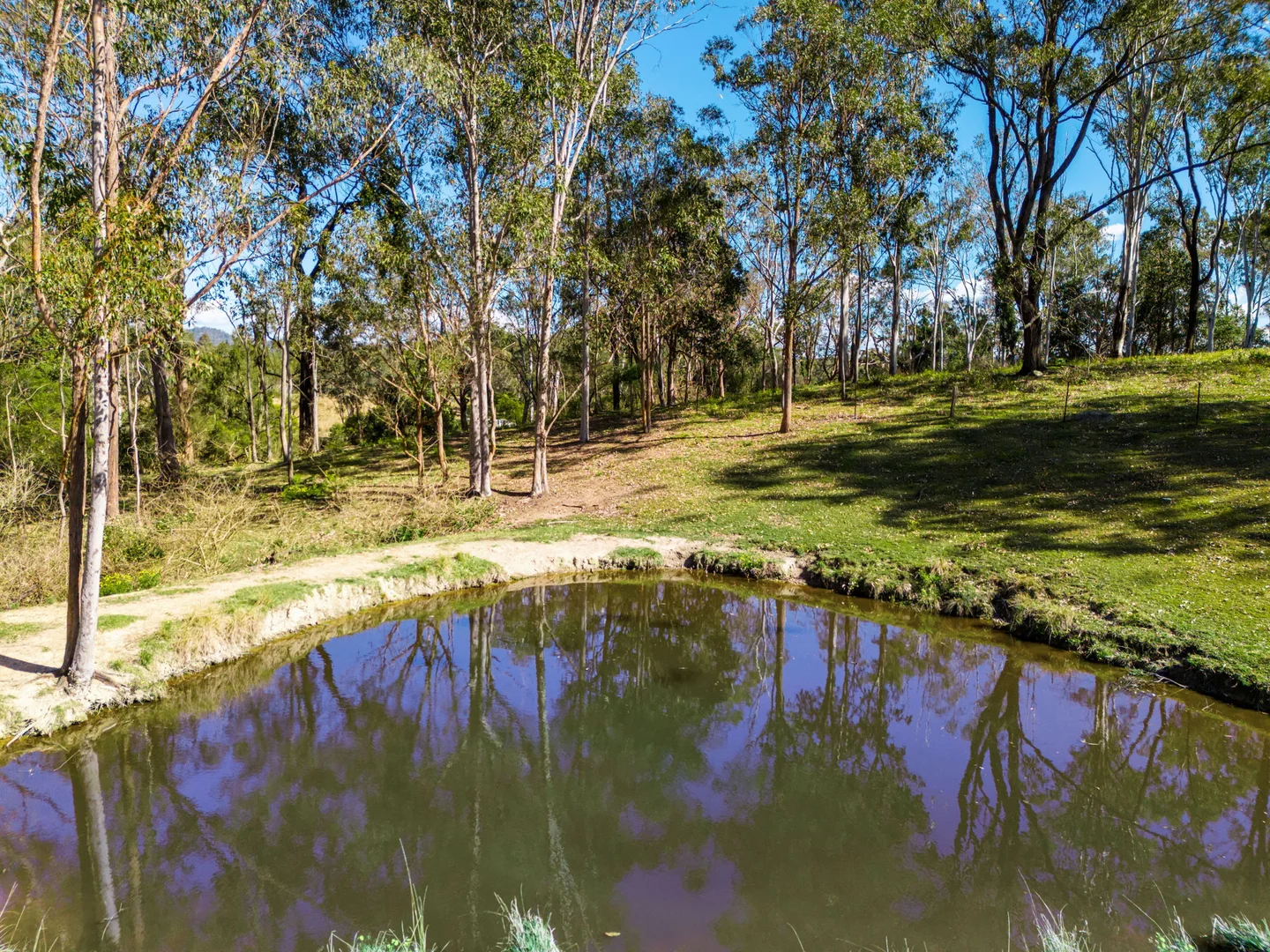Additional image 25 of 119 Paddys Flat Road, Tabulam NSW 2469