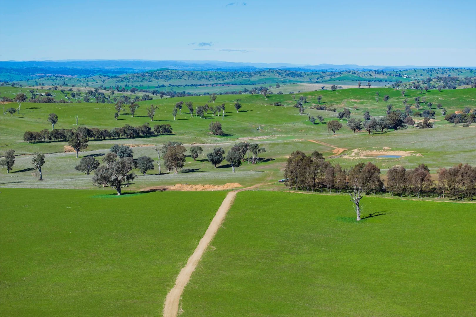 Additional image 31 of 670 Leahy Road, Wagga Wagga NSW 2650