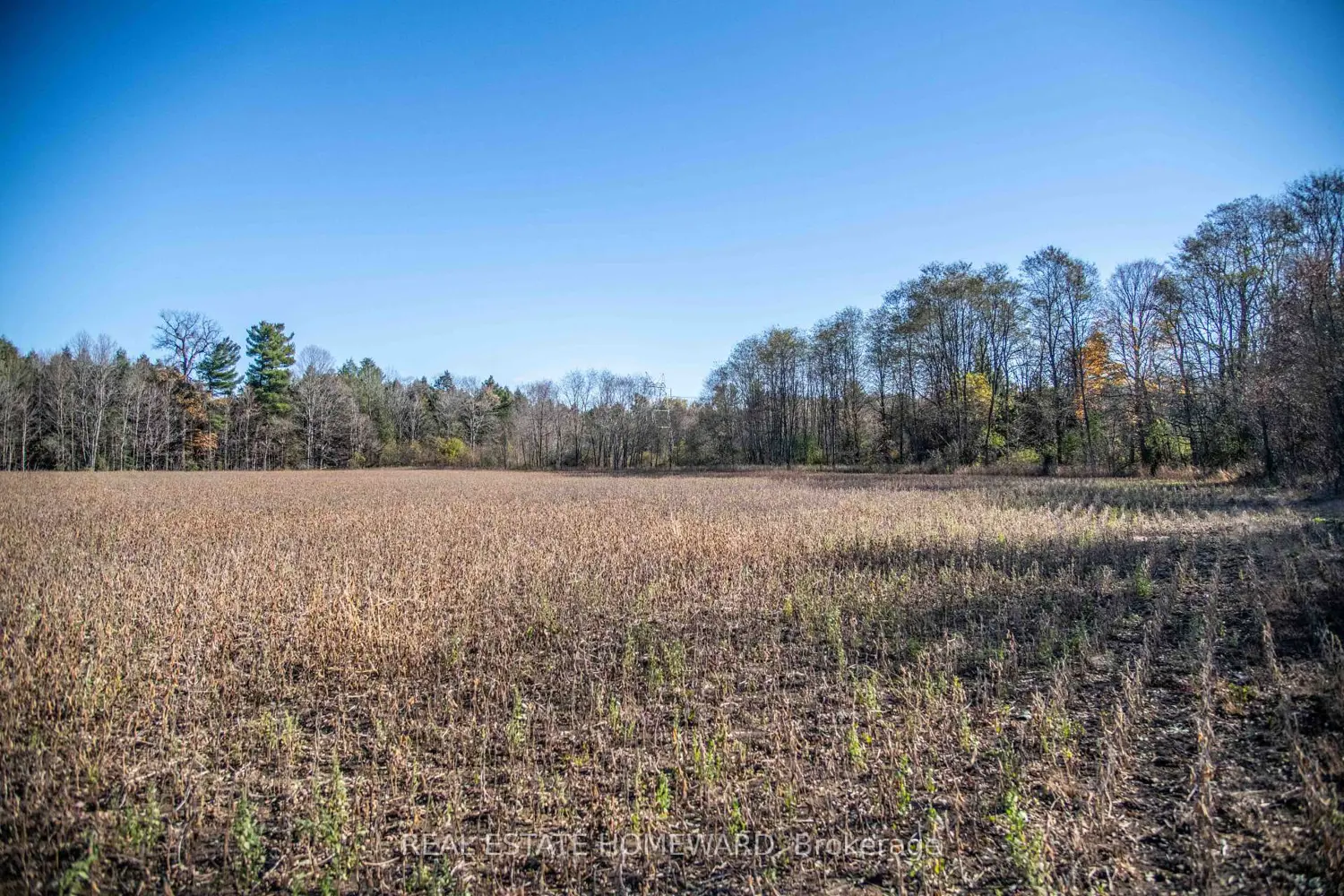 Additional image 7 of 7257 Soper Road