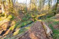 Additional image 30 of 30606 NE Harrison Rd, Battle Ground, WA, 98604