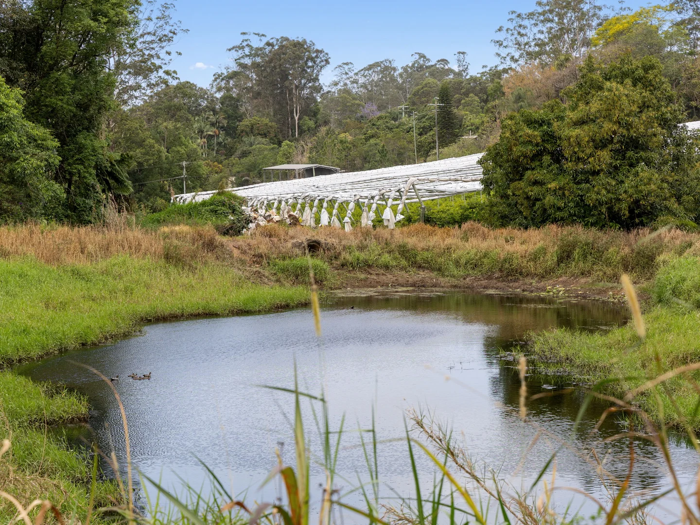 Additional image 11 of 43 Pringle Road, Rosemount QLD 4560