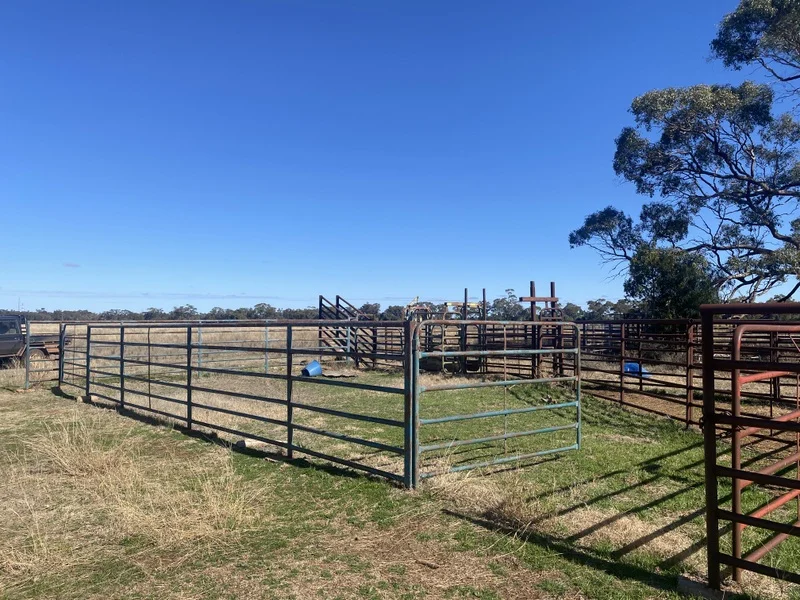 Additional image 12 of 382 Jones Lane, Condobolin NSW 2877