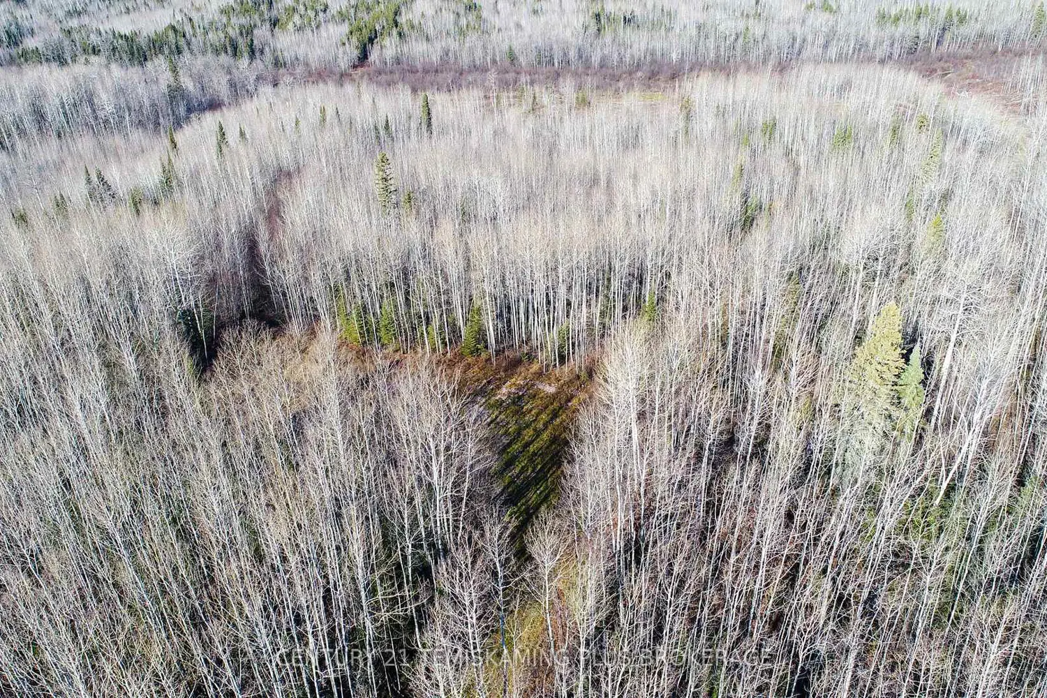 Additional image 13 of Pt 4 Cabin Road