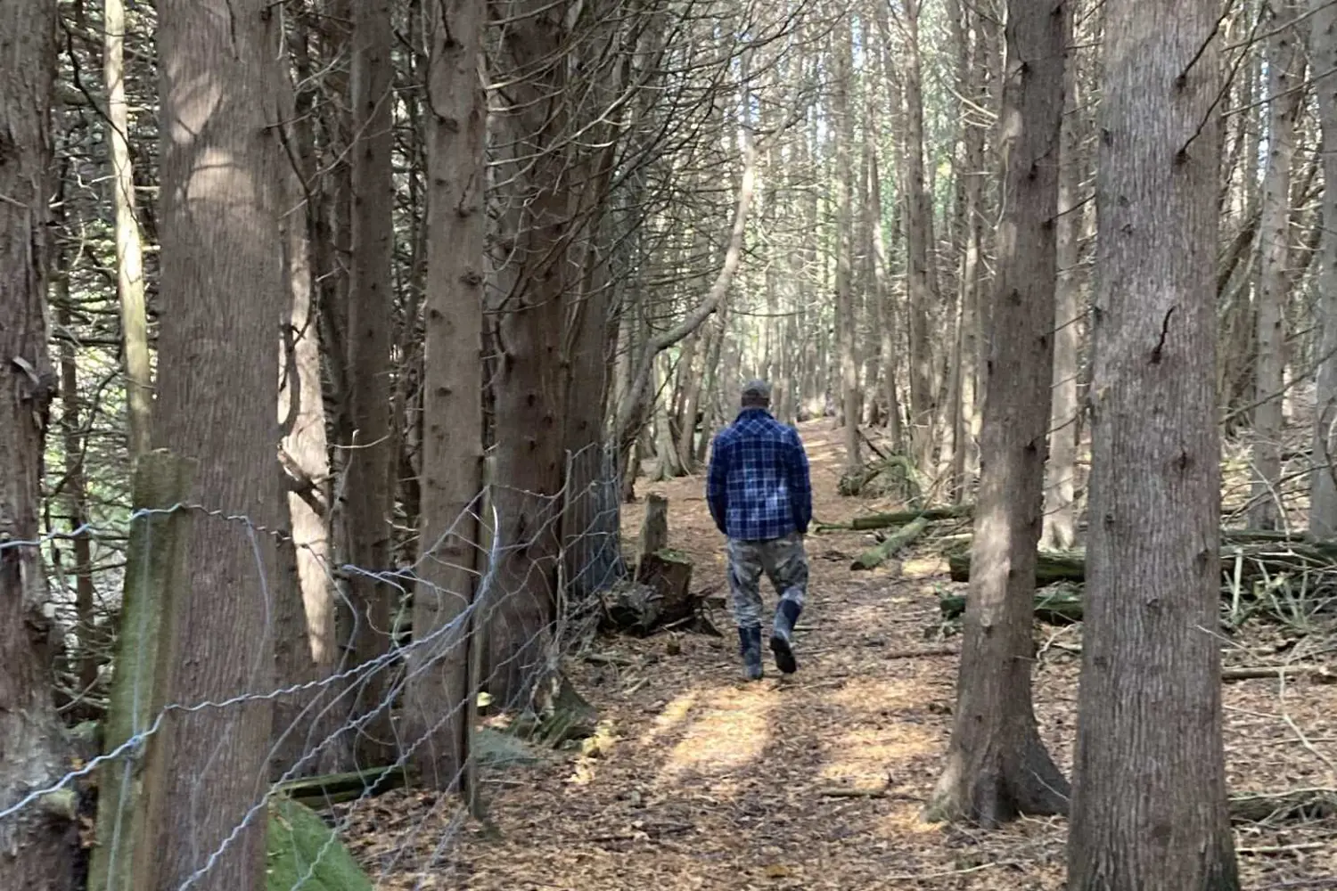 Additional image 2 of 323 Orange Corners Road