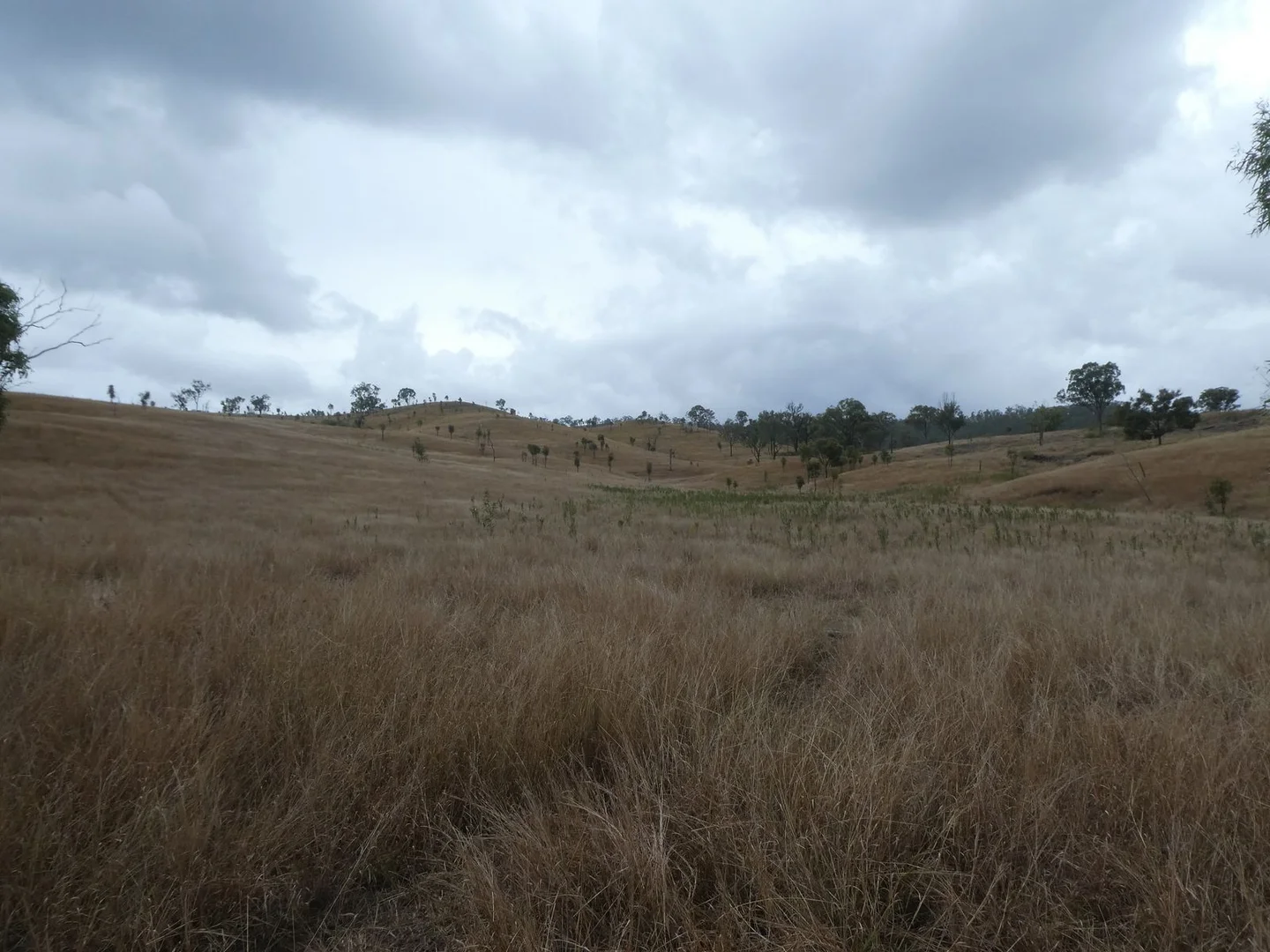 Additional image 9 of 4 Lots/NRN Monto Mount Perry Road, Mungy QLD 4671