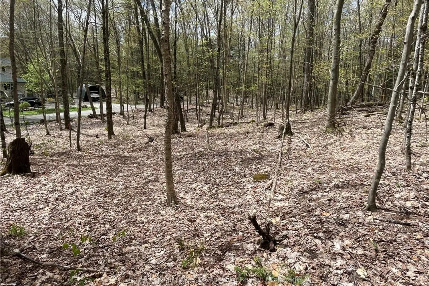 Additional image 3 of Lot 133 Brennan Circle