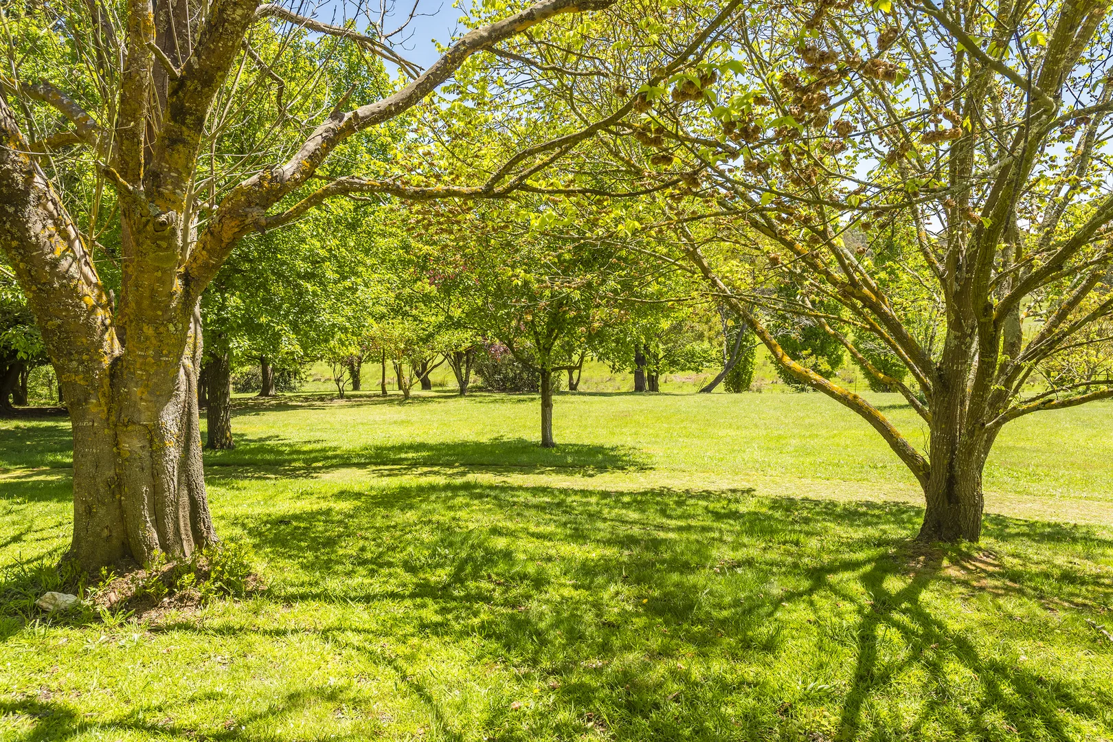 Additional image 26 of 181 Black Forest Drive, Macedon VIC 3440