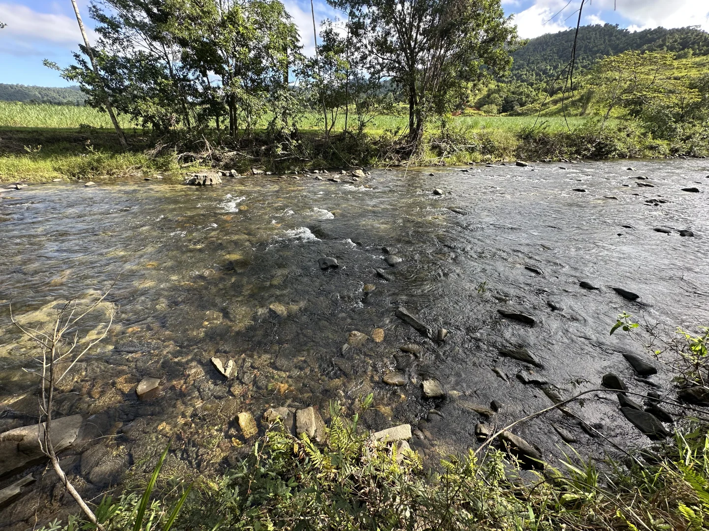 Additional image 12 of Japoonvale QLD 4856