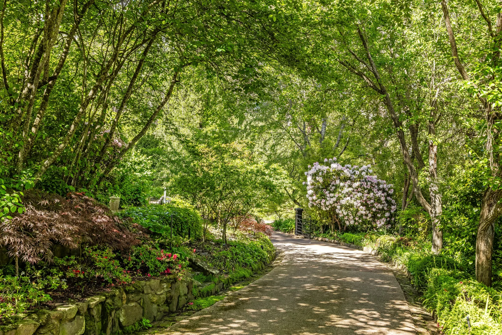 Additional image 66 of 16 Birch Road, Stirling SA 5152