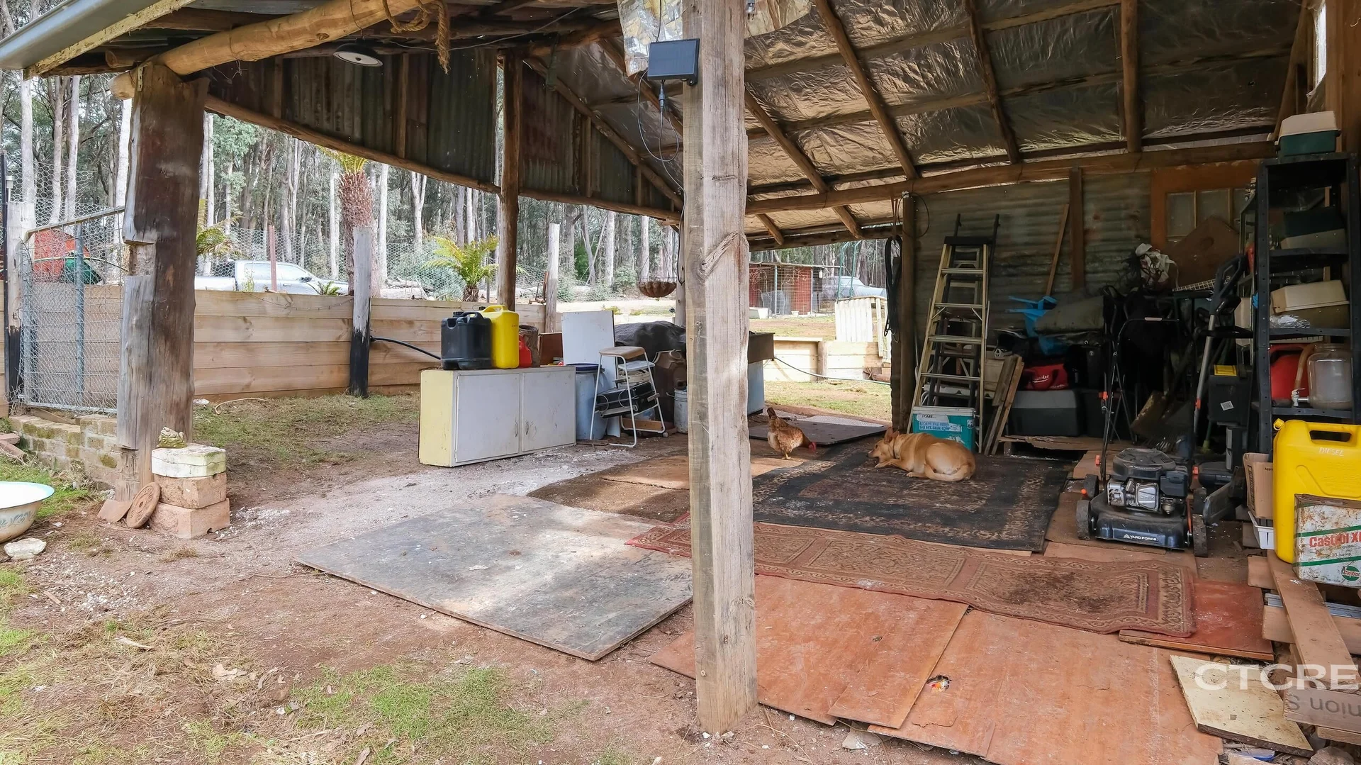 Additional image 6 of 1695 Bendoc-Orbost Road, Bendoc VIC 3888