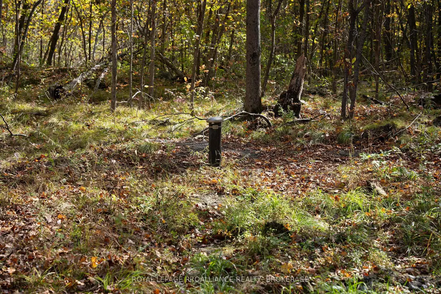 Additional image 10 of Pt Lts 12 & 13 Devil Lake Road