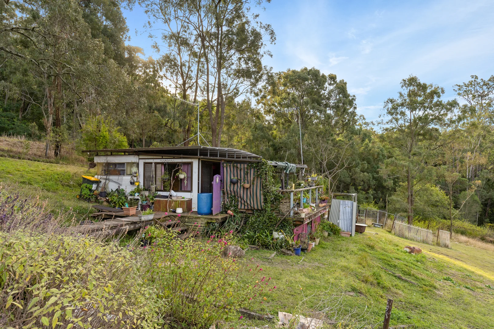 Additional image 10 of 98 Parishs Road, Dungog NSW 2420