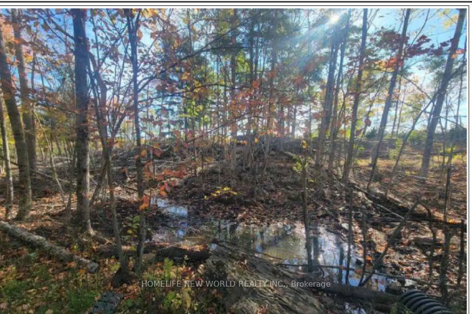 Additional image 3 of 9967 County Road 41