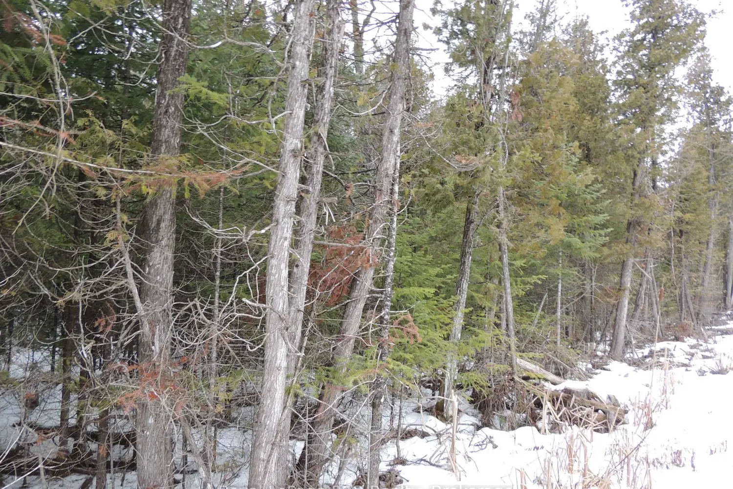 Additional image 3 of Ptlt 20 Southgate 57 Side Road