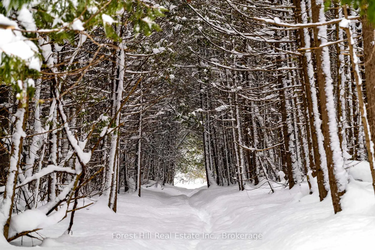 Additional image 14 of 496629 Grey Road 2