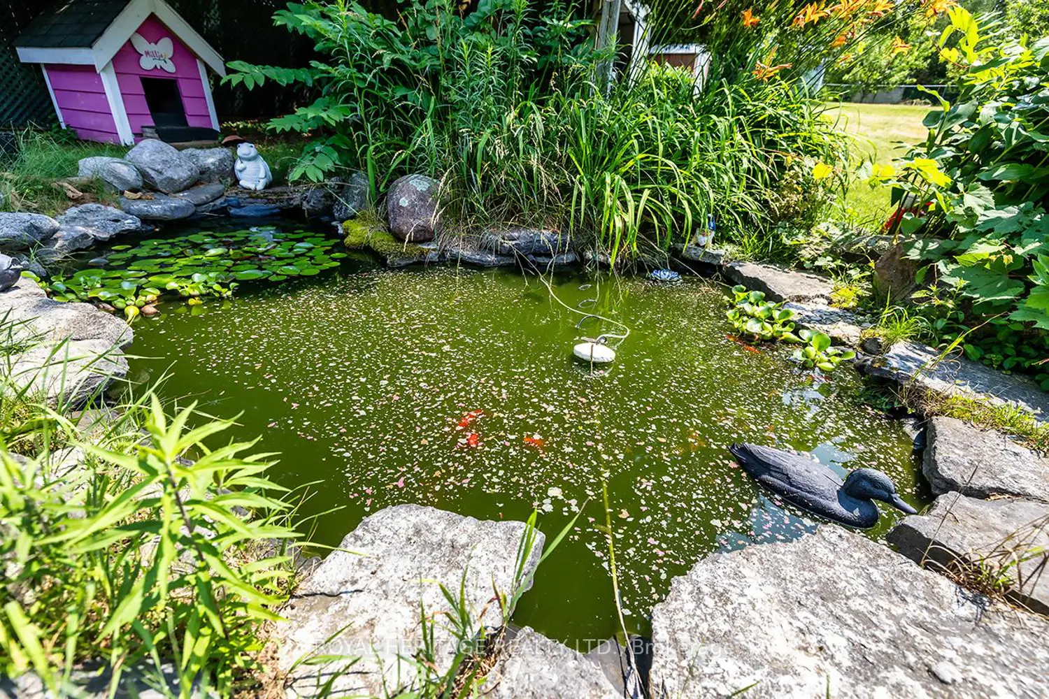 Additional image 18 of 5291 County 45 Road