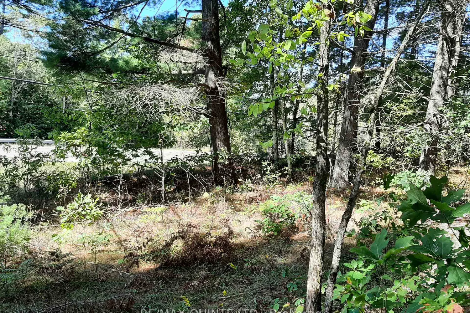 Additional image 10 of 0 Pt Lt12 Con14 Hwy 37 Road