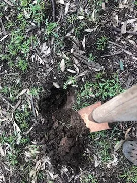 Additional image 25 of Lot 133 Troths Lane, Quandialla NSW 2721