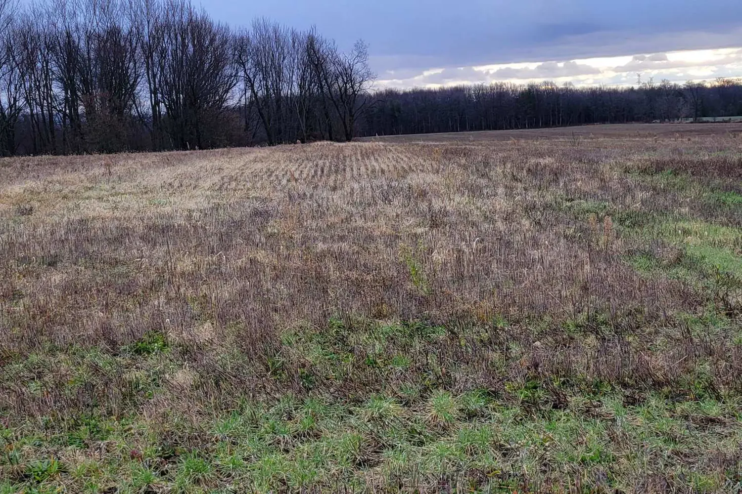 Additional image 9 of Lot 37 Con 2 Ndr