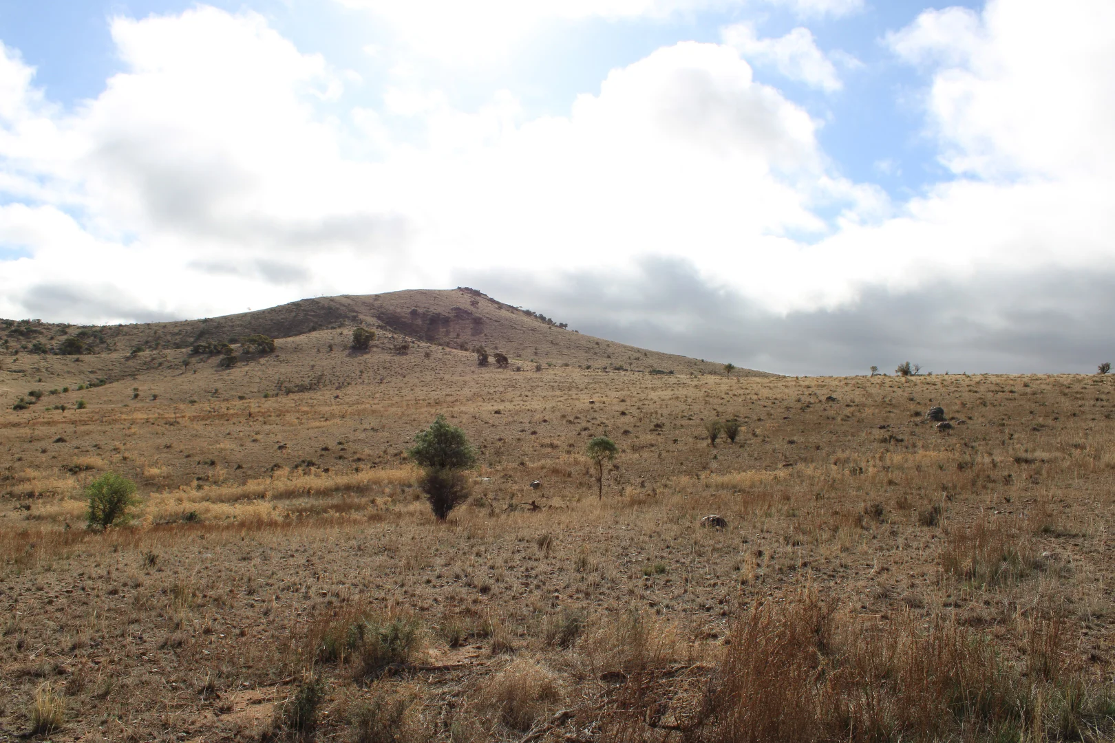 Additional image 8 of "Woodlands" Black Rock Road, Minvalara SA 5422