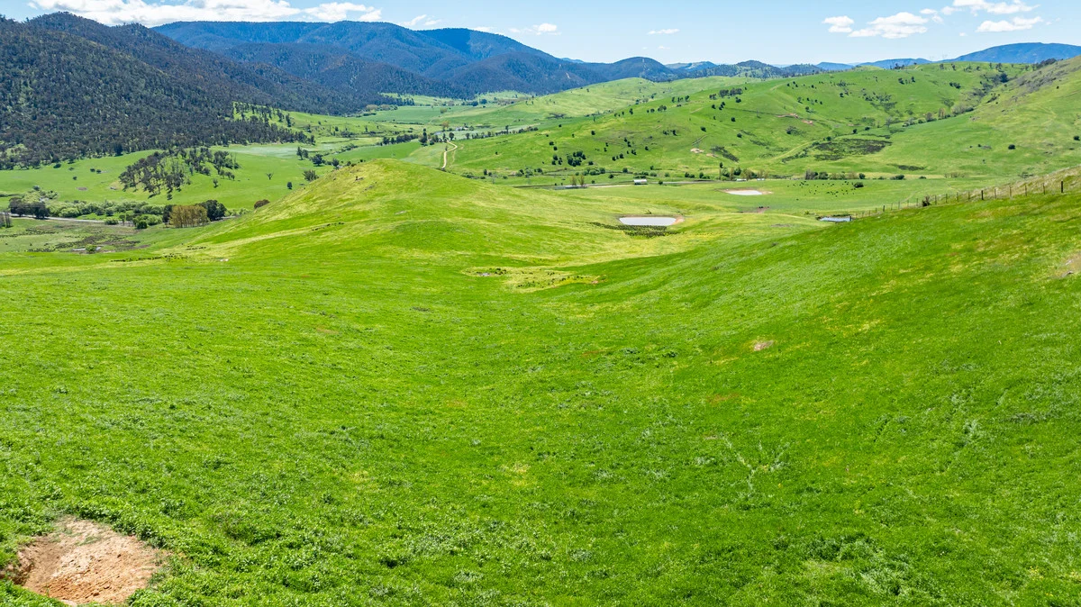 Additional image 4 of 3465 Murray Valley Highway, Berringama VIC 3691