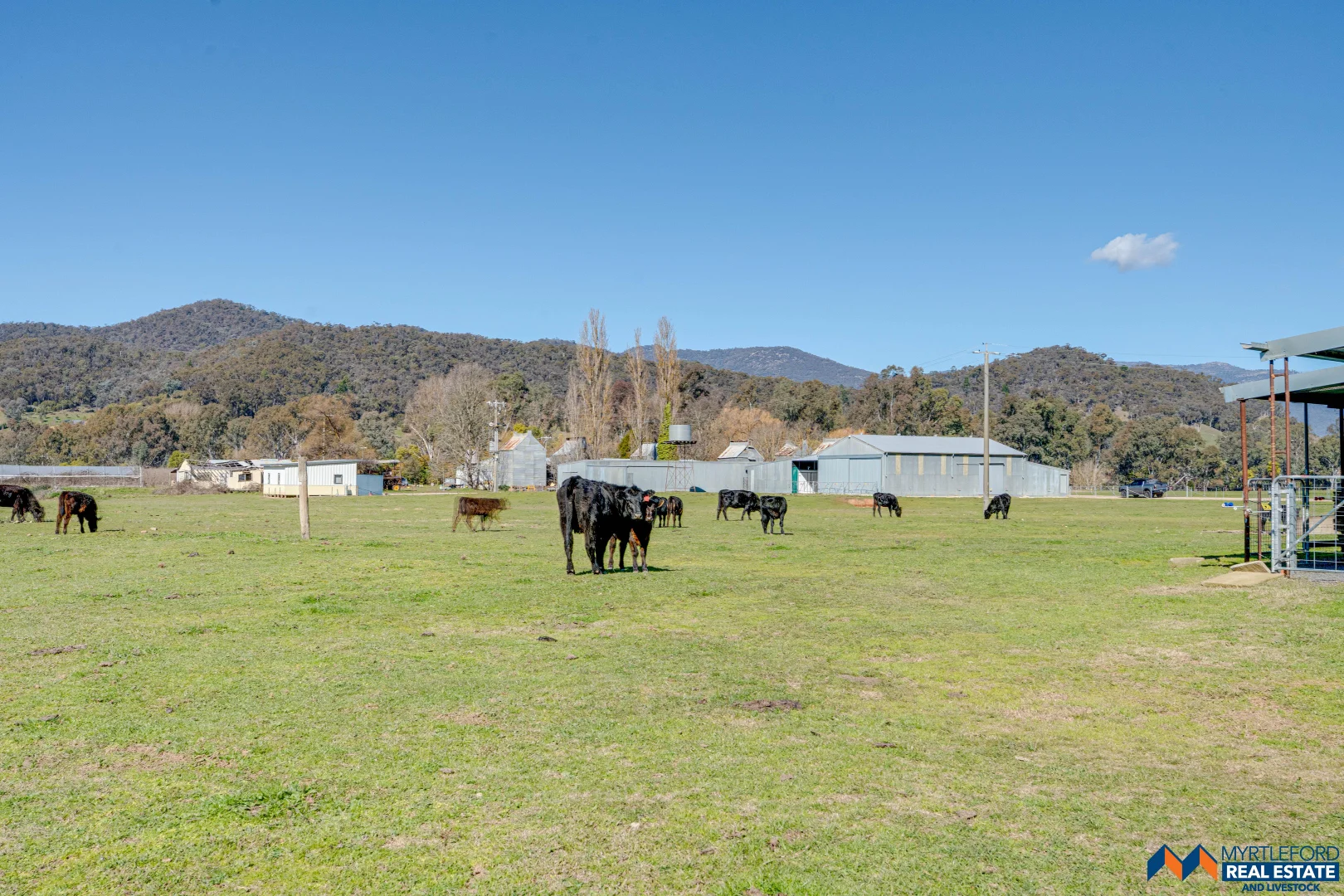 Additional image 34 of 367 Merriang South Road, Myrtleford VIC 3737